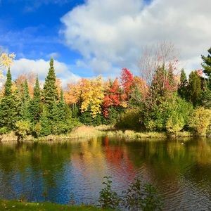 Meet your Posher, Ellie